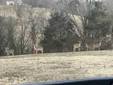 990 E Piney Rd - Photo 7