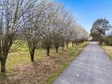 7 Paschal Rd - Photo 17