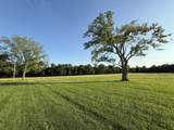 3171 Highway 41A - Photo 12