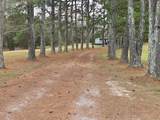 1148 Bear Creek - Photo 1