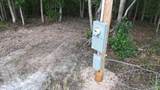 4439 Old Hohenwald Rd - Photo 2