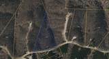 4439 Old Hohenwald Rd - Photo 10