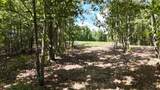 113 Chestnut Dr - Photo 1