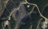 113 Chestnut Dr - Photo 4