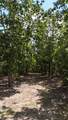 113 Chestnut Dr - Photo 10