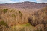 0 Buffalo Cove Ln - Photo 43