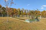 890 Hackberry Ln - Photo 66