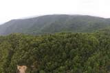 1 Straight Fork Road - Photo 13