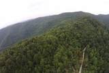 1 Straight Fork Road - Photo 14