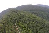 1 Straight Fork Road - Photo 15