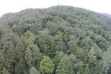 1 Straight Fork Road - Photo 21