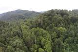 1 Straight Fork Road - Photo 22