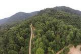 1 Straight Fork Road - Photo 24