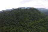 1 Straight Fork Road - Photo 5