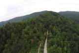 1 Straight Fork Road - Photo 8