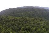 1 Straight Fork Road - Photo 9