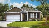 1732 Savannah Pass - Photo 2