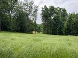 0 Preacher Holt Rd - Photo 11