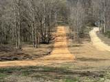 0 Preacher Holt Rd - Photo 7