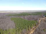 0 North Fork - Photo 4