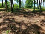 1930 Arlington Rd - Photo 2