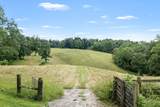 540 Powell Hollow Road - Photo 5