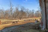 1429 Hunley Branch Rd - Photo 20