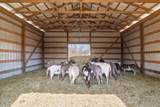 1429 Hunley Branch Rd - Photo 29