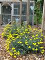 2675 Mockingbird Hill Rd - Photo 7
