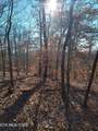 45 Walleye Point - Photo 17