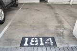 1814 Wedgewood Ave - Photo 32