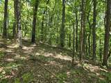 16 Seals Hollow Rd - Photo 5