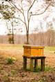 7050 Bakerville Rd - Photo 49