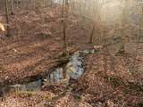 0 Chinkapin Ln - Photo 45