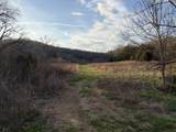 1565 Old Elkton Pike - Photo 71