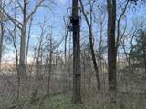 1565 Old Elkton Pike - Photo 72