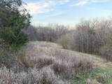 1565 Old Elkton Pike - Photo 77