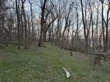 1565 Old Elkton Pike - Photo 81