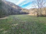 0 Charlie Allen Ln - Photo 9