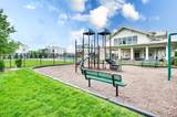 3017 Shandor St - Photo 43