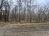 0 Black Bass Trail - Photo 3