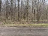 0 Black Bass Trail - Photo 4
