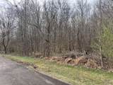 0 Black Bass Trail - Photo 6