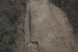 918 Ward Rd - Photo 4