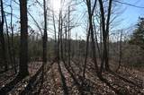 146 Wyatt Lane - Photo 8