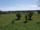 1231 Tiny Town Rd - Photo 3