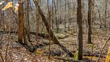 0 Fowler Rd - Photo 13