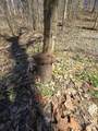 627 Stewart Hollow Rd - Photo 11