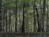 627 Stewart Hollow Rd - Photo 25