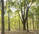 627 Stewart Hollow Rd - Photo 26